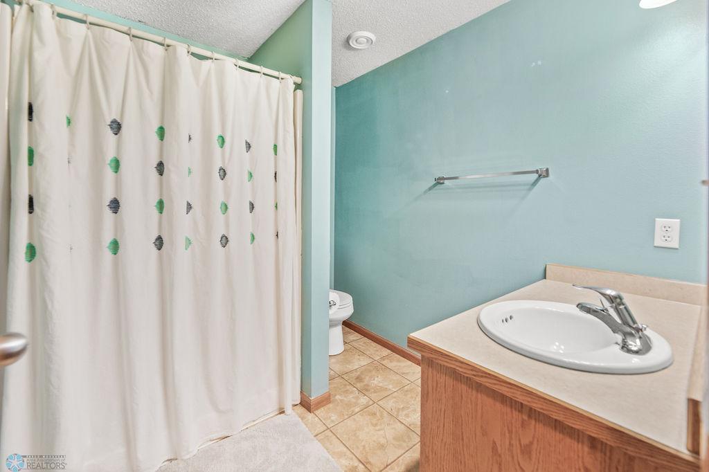 Lower Level Bathroom