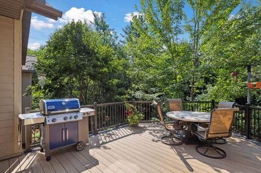 The deck is another highlight of this home, recently updated with durable composite decking and sleek metal rails. This modern combination not only enhances the aesthetic appeal but also ensures longevity and low maintenance.