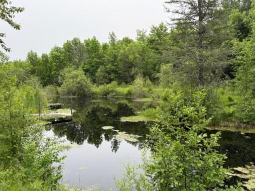 39622 County Road 129, Deer River, MN 56636