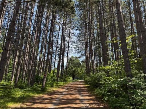 39622 County Road 129, Deer River, MN 56636