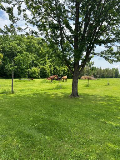 1374 State Highway 11 SE, Baudette, MN 56623