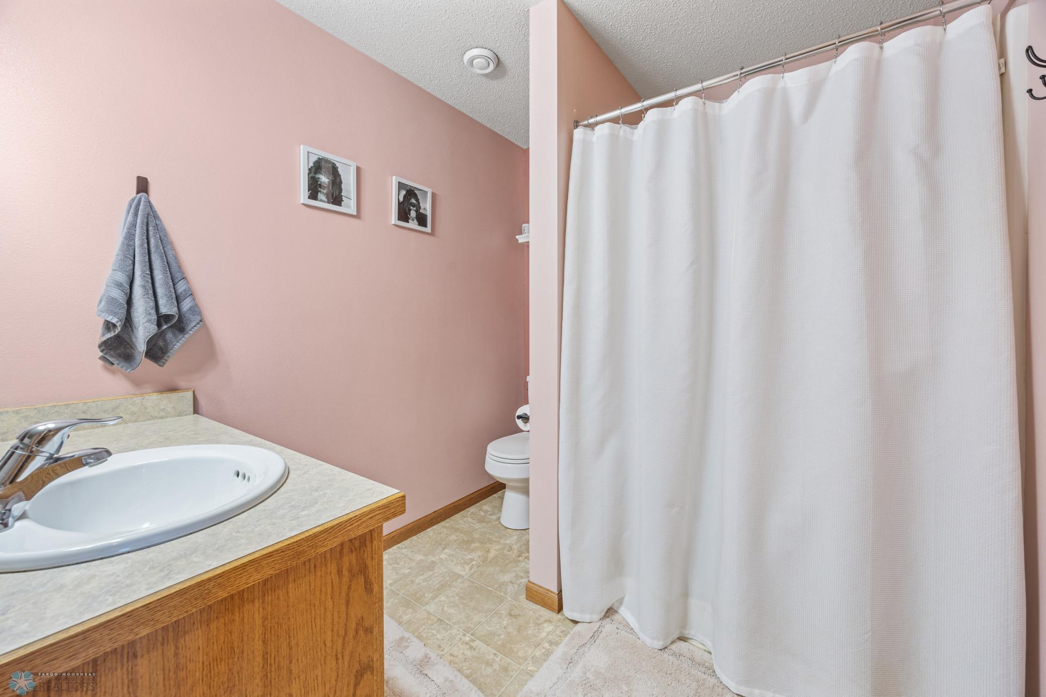 Lower level bathroom