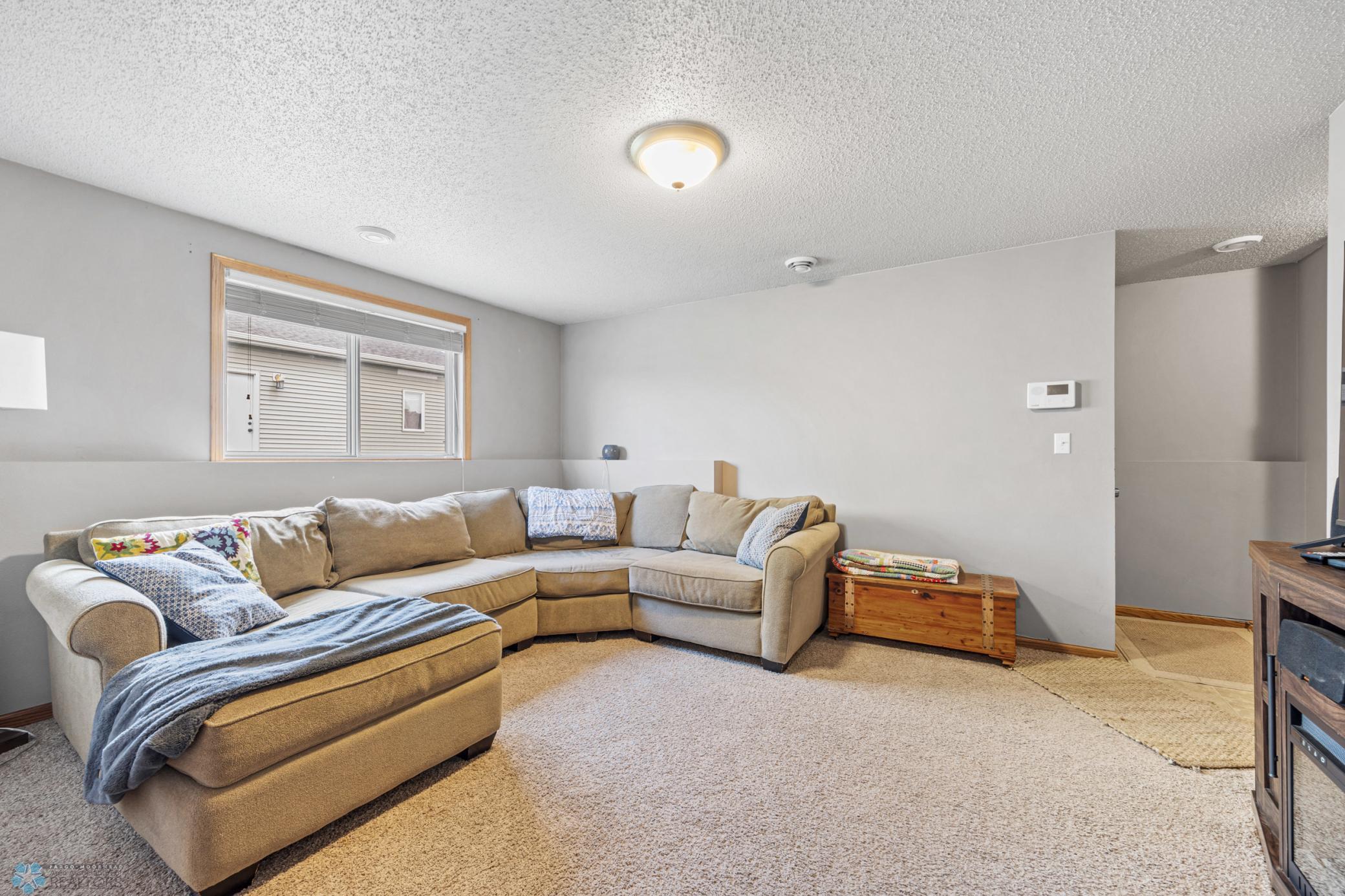 Lower level family room