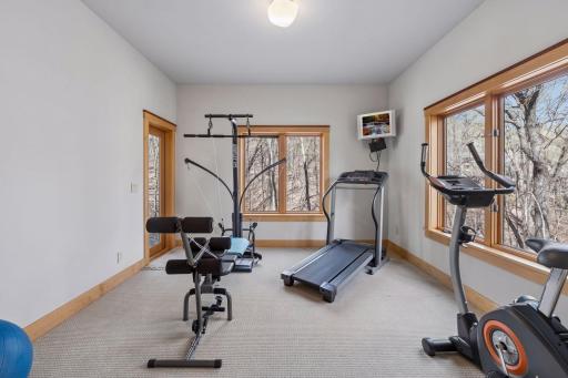 45 Cristofori Circle, Orono, MN 55359