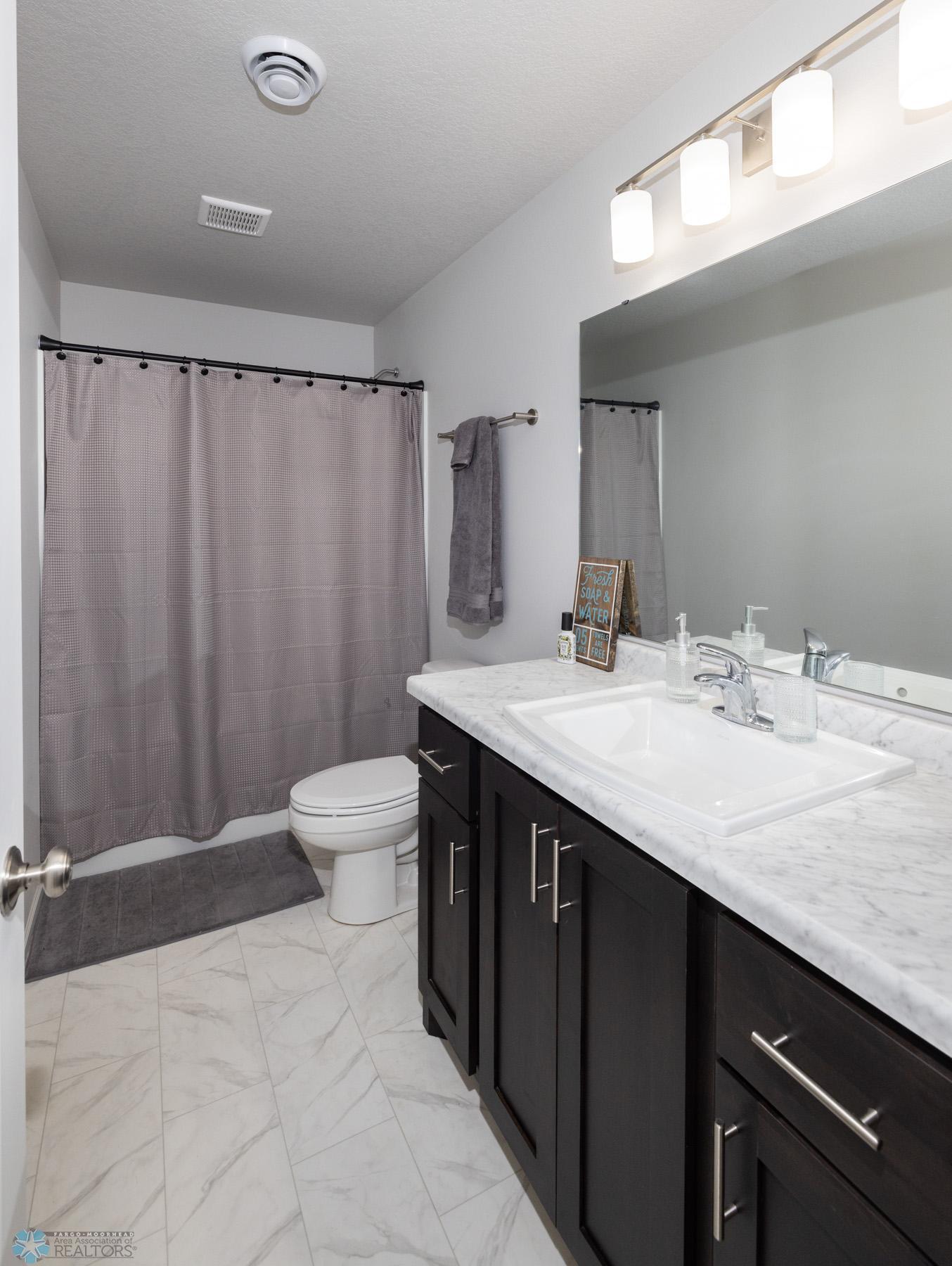 Lower Level Bathroom