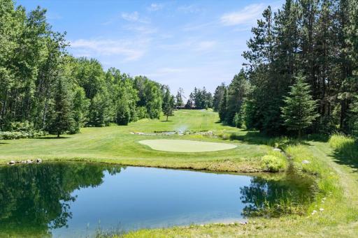 38780 Pine Haven Trail, Pine River, MN 56474