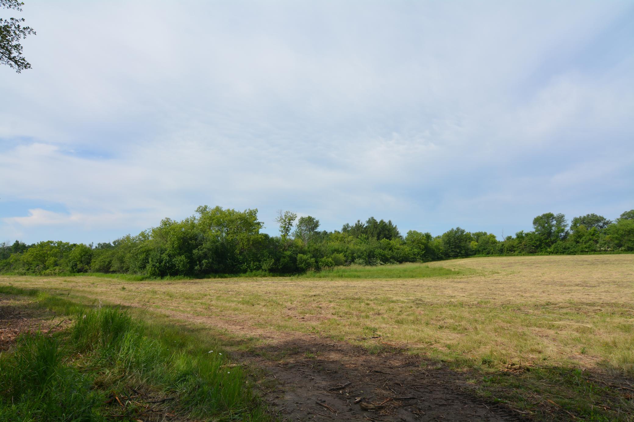 DSC_2588.JPG
