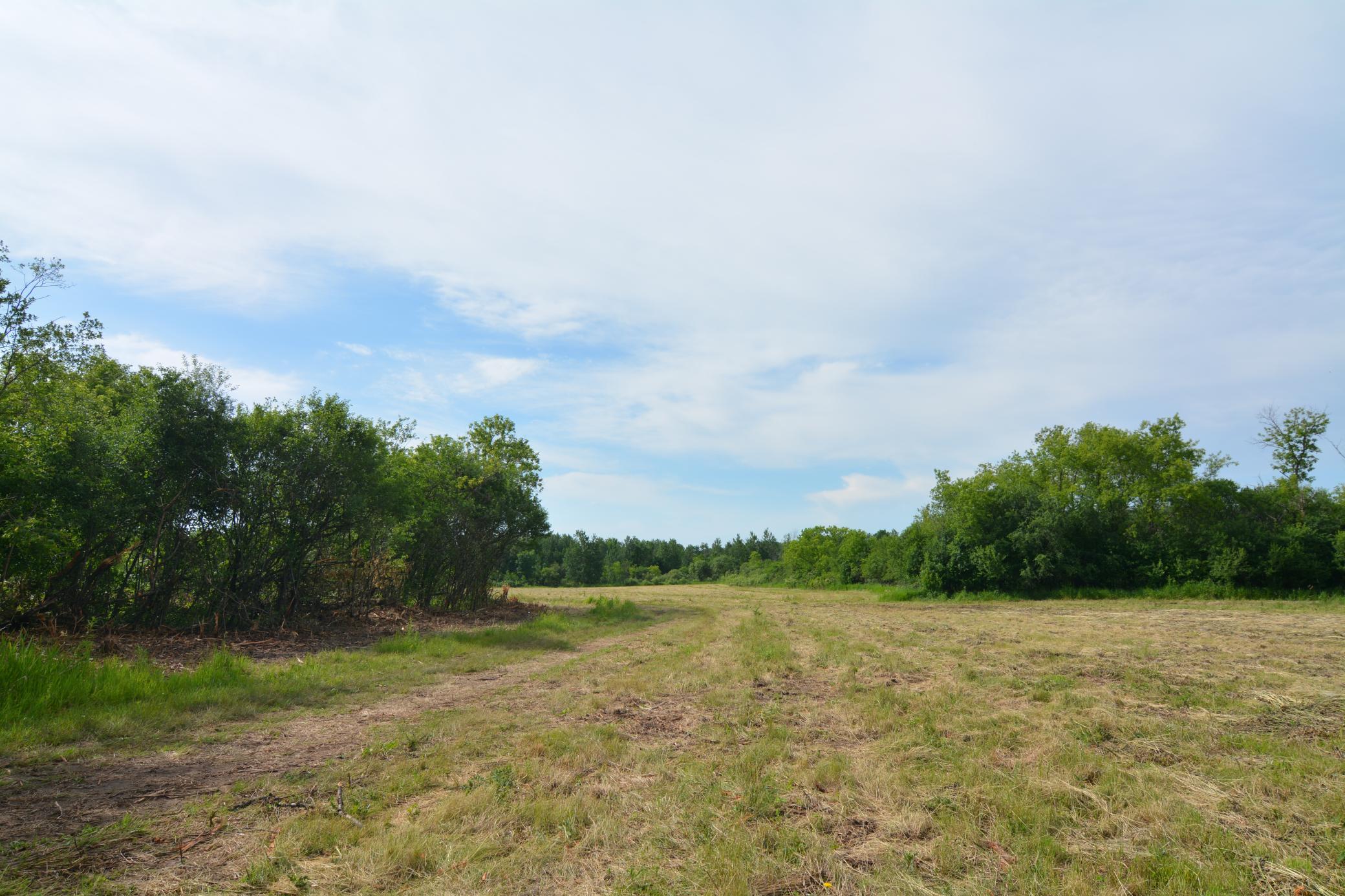 DSC_2590.JPG