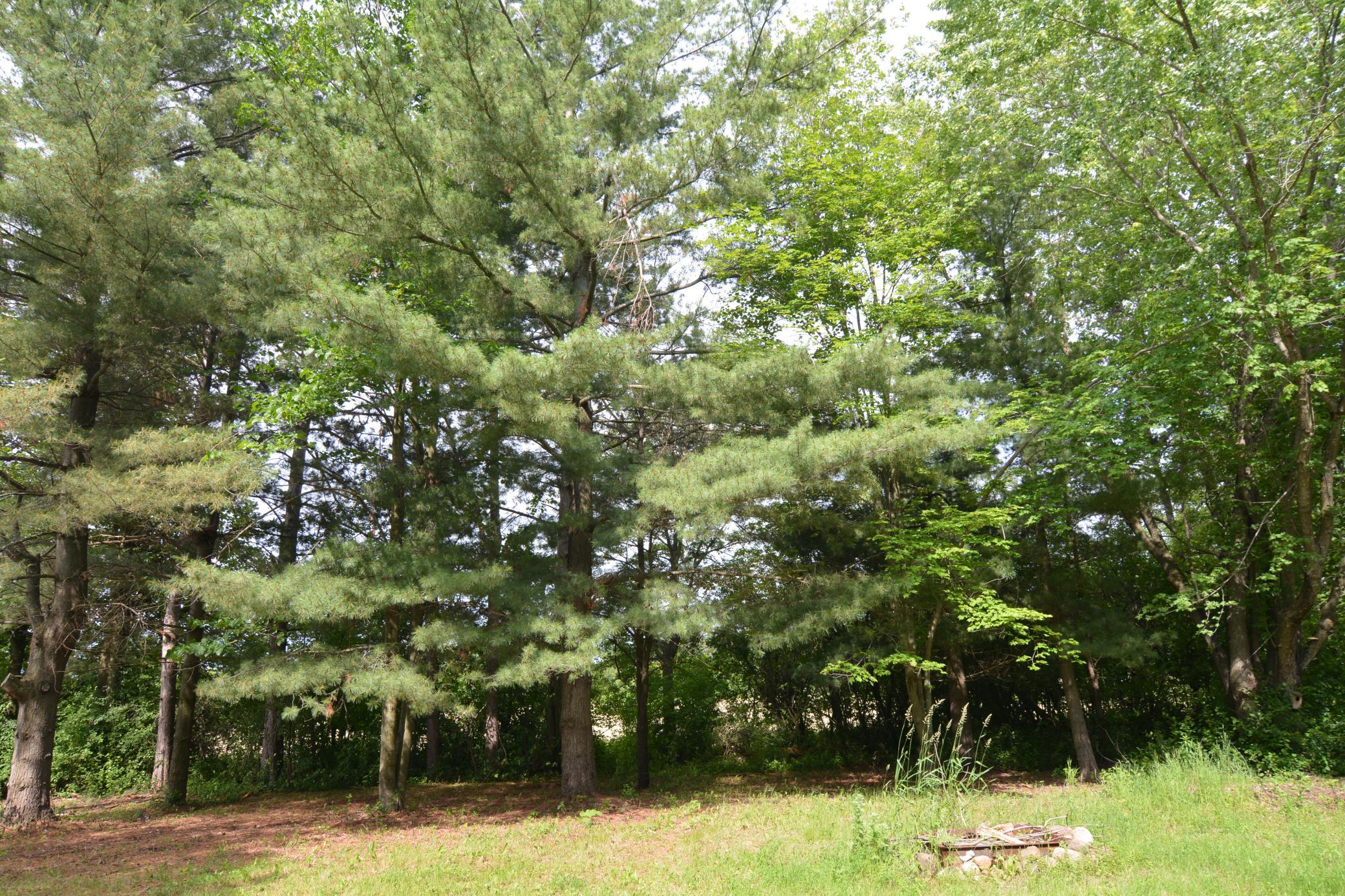DSC_2597.JPG