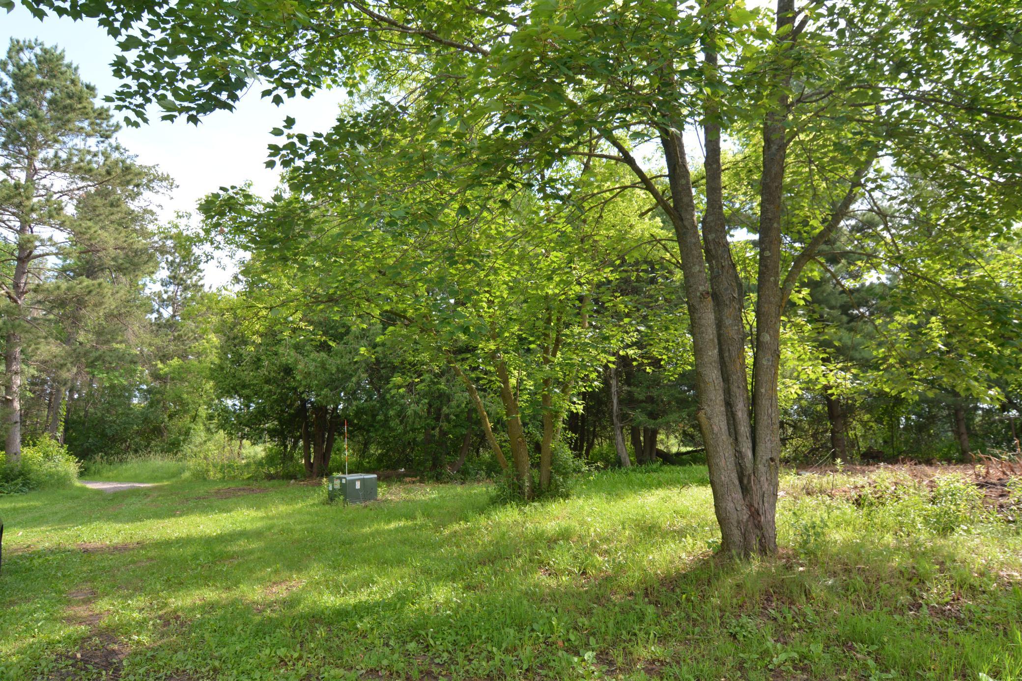 DSC_2581.JPG