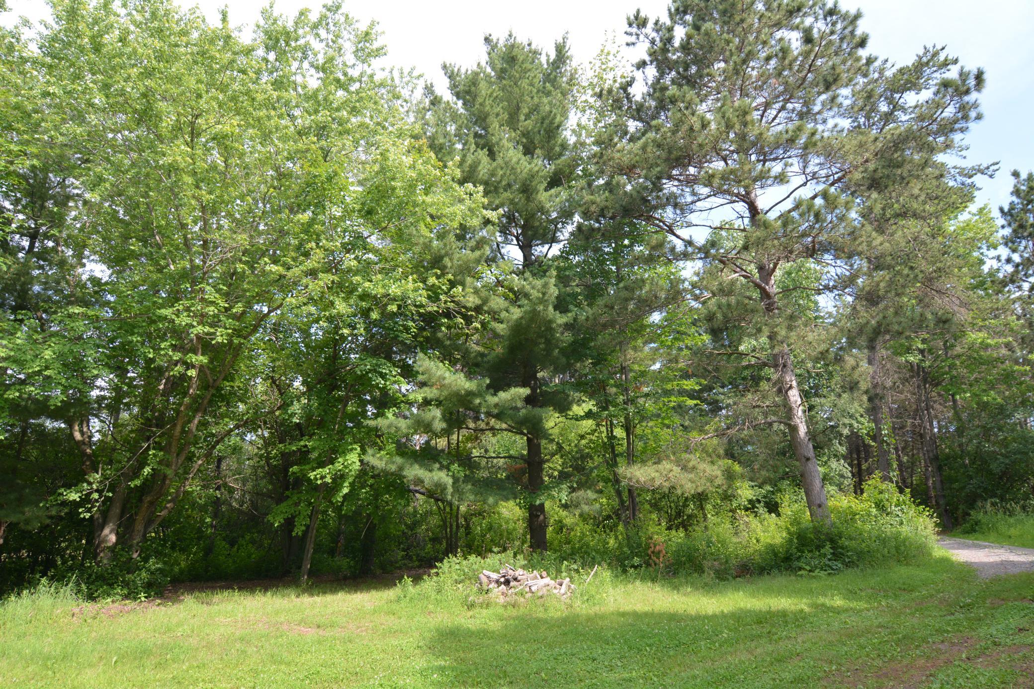 DSC_2596.JPG