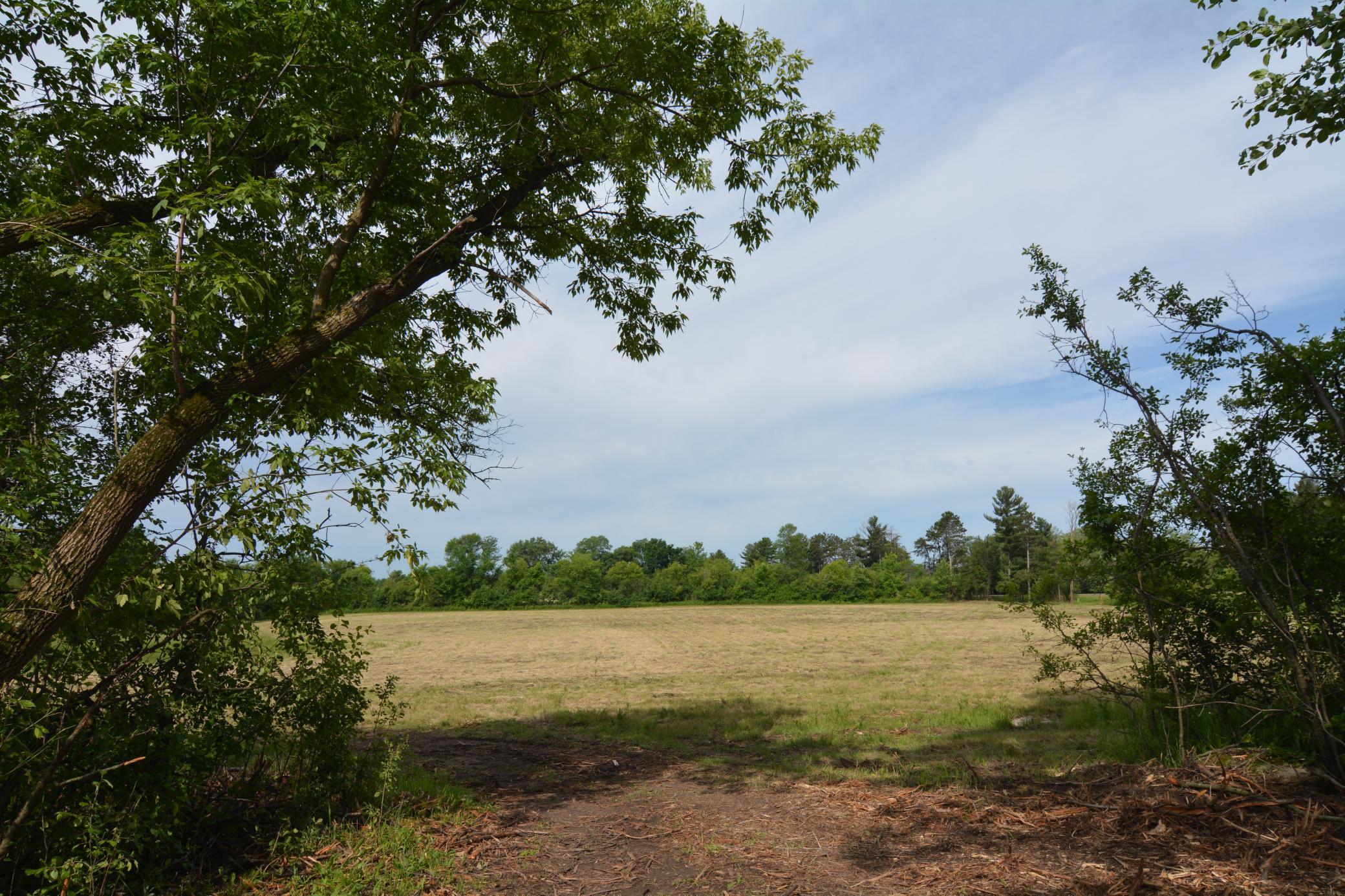 DSC_2586.JPG