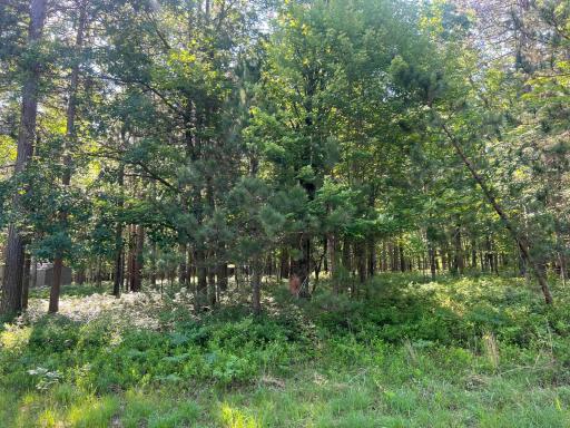 Lot 31 Great Bear Passage, Danbury, WI 54830