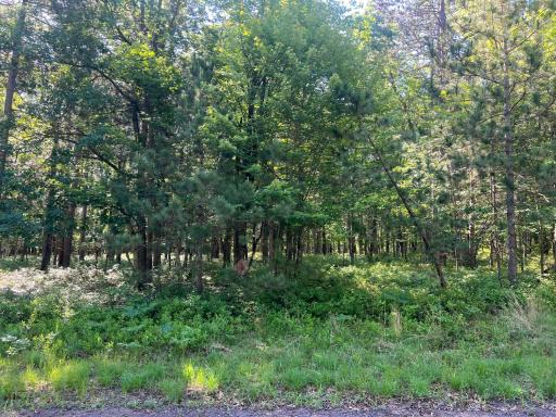 Lot 31 Great Bear Passage, Danbury, WI 54830