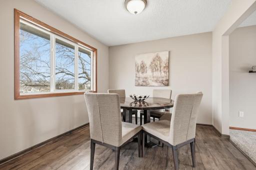 9118 Ashley Terrace, Brooklyn Park, MN 55443
