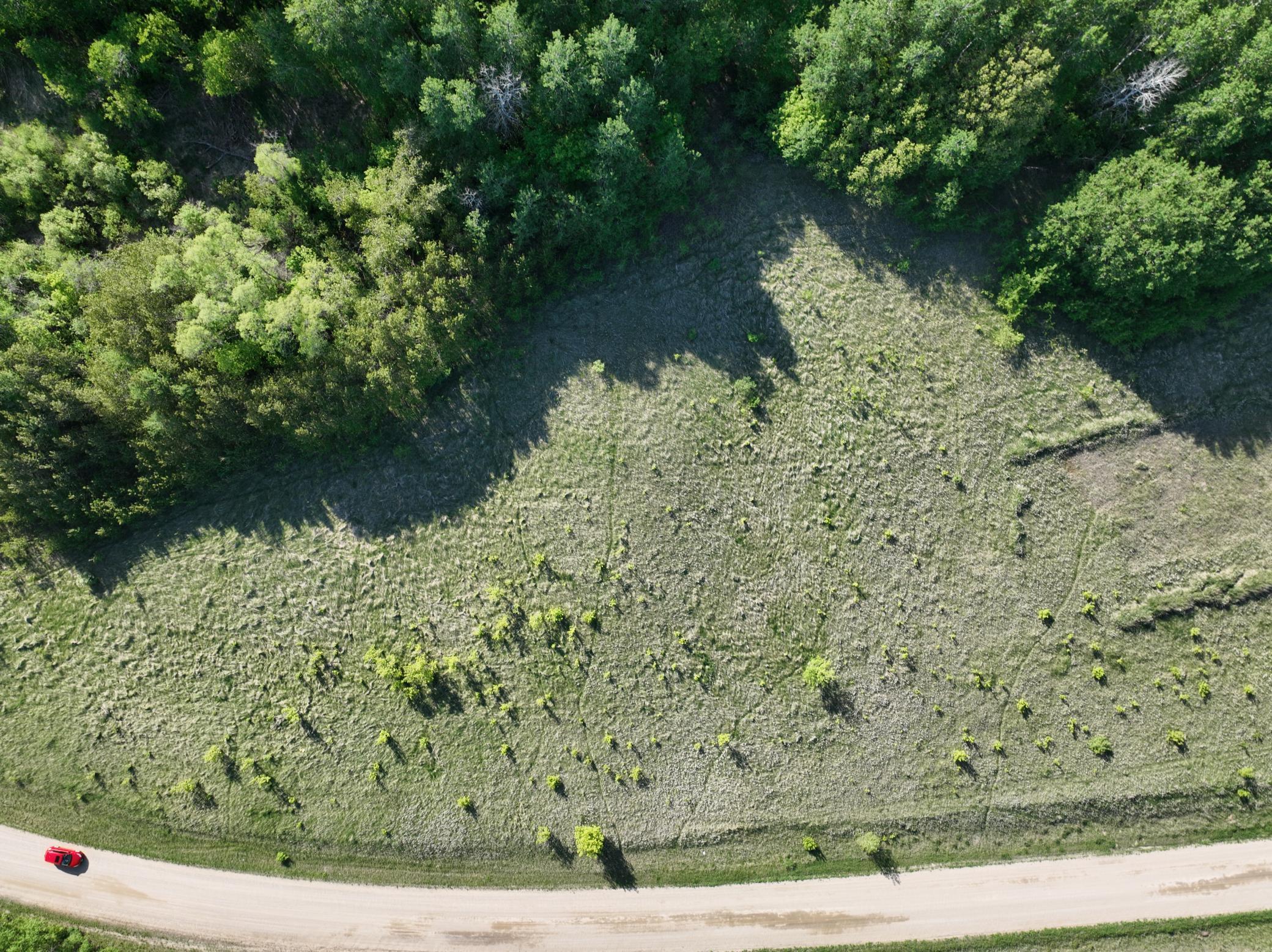 DJI_0919(2).JPG
