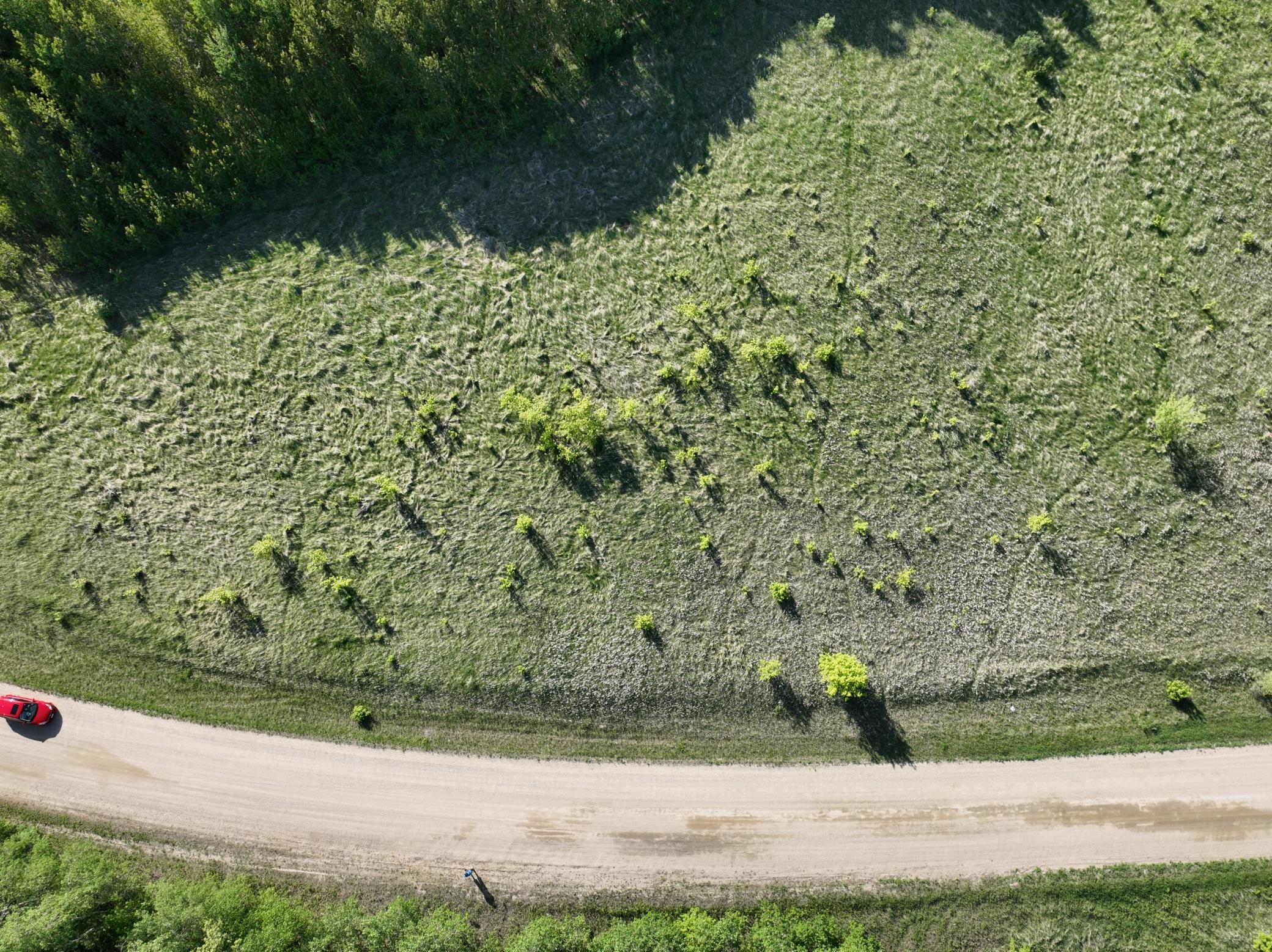 DJI_0917.JPG