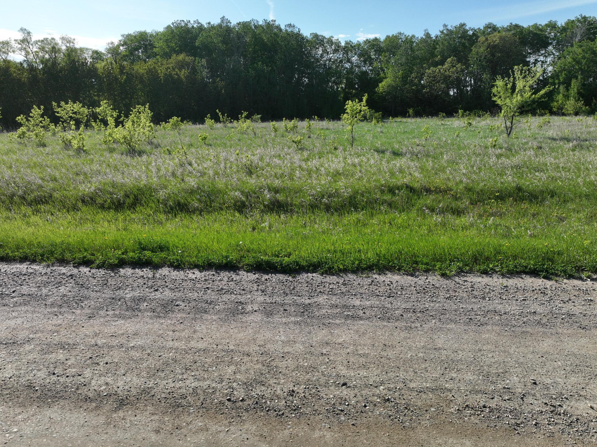 DJI_0911.JPG