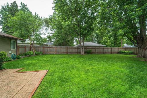 Backyard.
