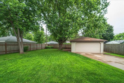Backyard.