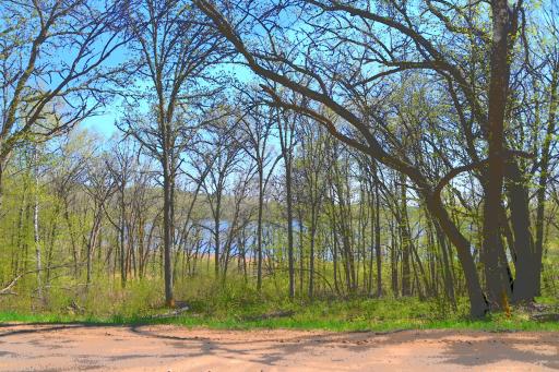 TBD Ottawa Drive, Browerville, MN 56438