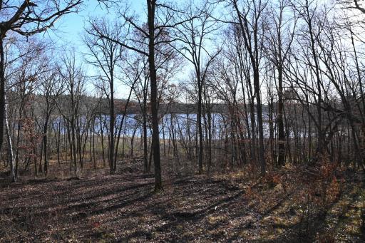 TBD Ottawa Drive, Browerville, MN 56438