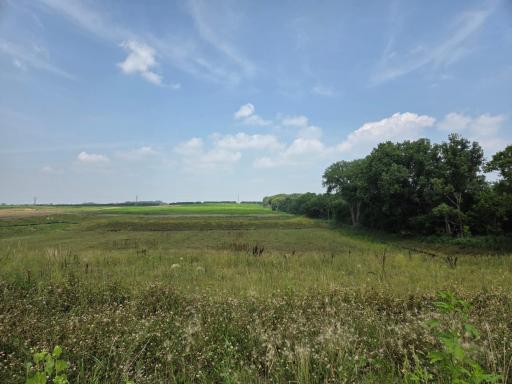 Walkout lower level backs to 7.5 acres of open space!!