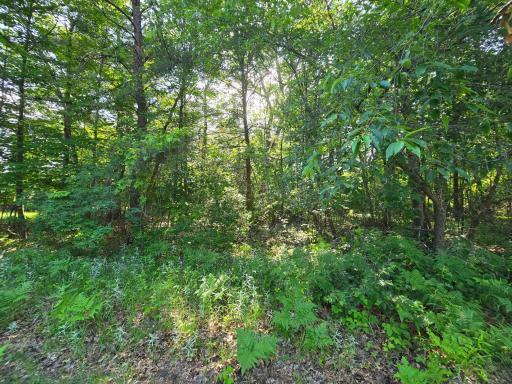 Lot 2 & 3 N Nelson N, Grantsburg, WI 54840