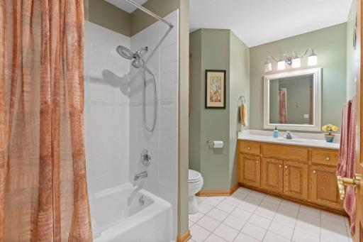 Lower level bathroom.