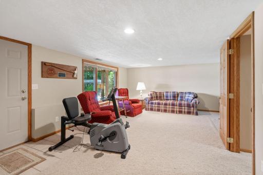 Bright and spacious lower-level family room—perfect for entertaining or home workouts.