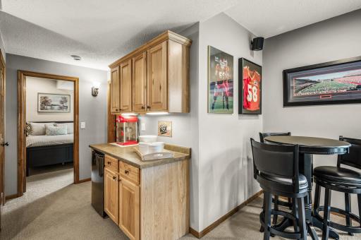 Lower level built-in bar