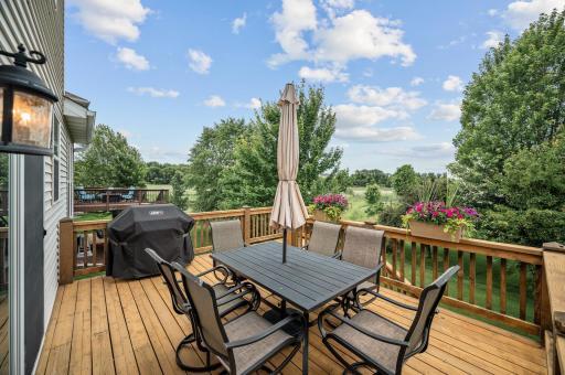 Freshly stained deck overlooks wetlands and pond