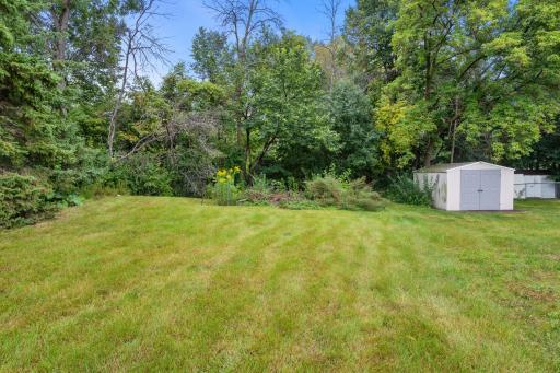 Large backyard with Shed backs up to Plymouth Creek