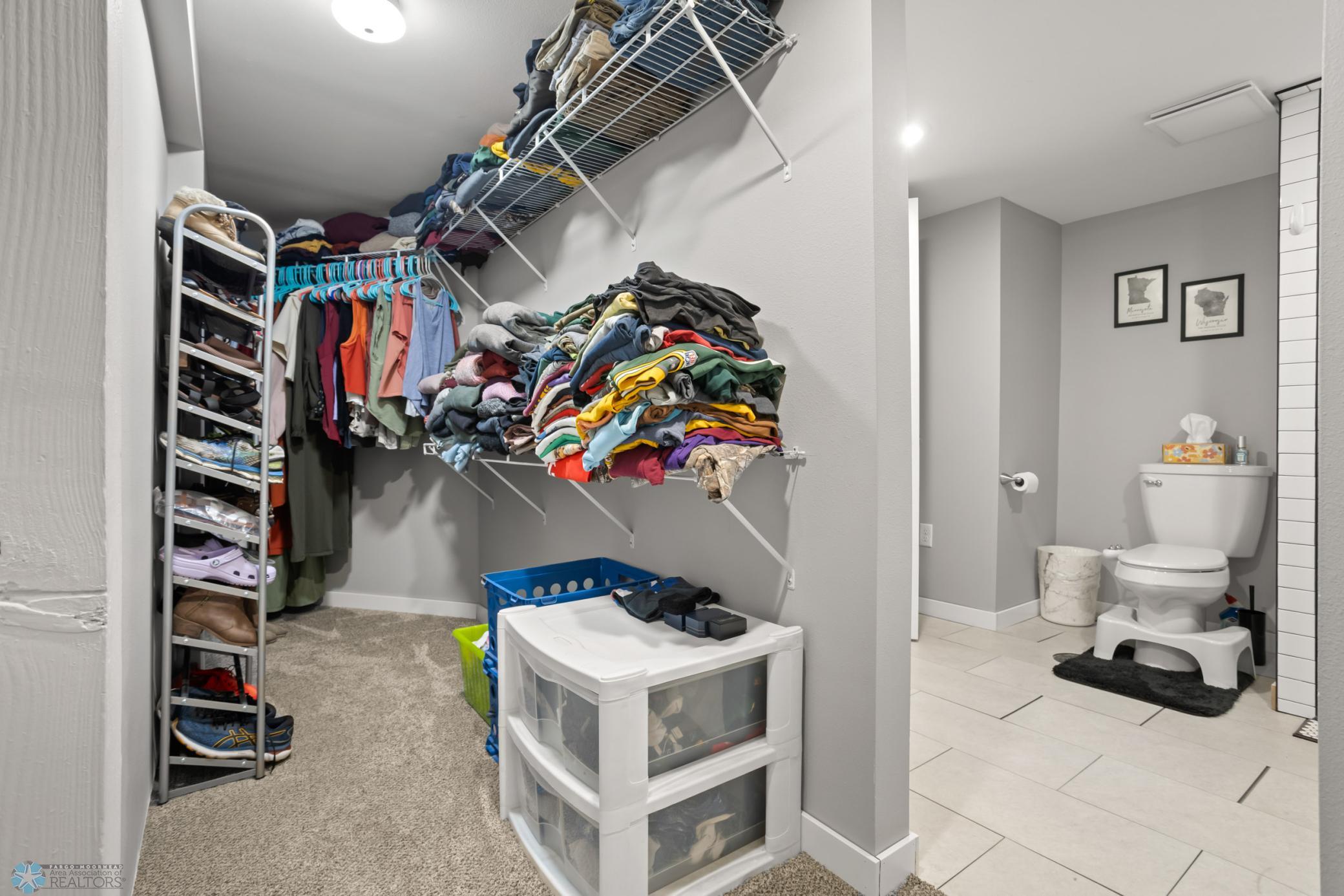 Lower Level Closet