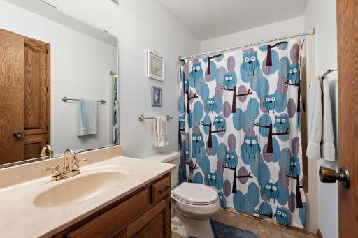 11473 199th Avenue NW, Elk River, MN 55330