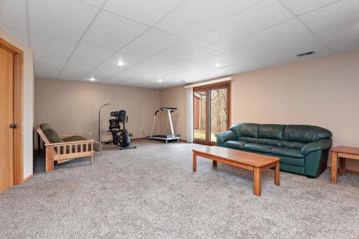 Awesome finished lower level that walks out to backyard