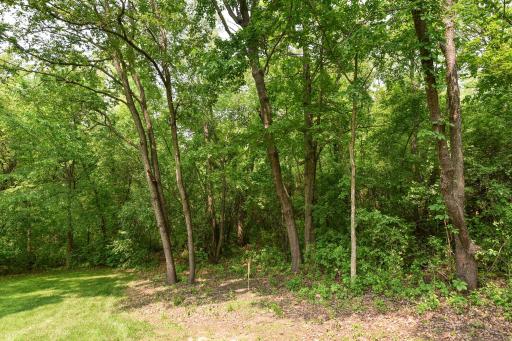 11473 199th Avenue NW, Elk River, MN 55330