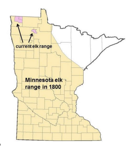 TBD 390th Ave, Gatzke, MN 56724