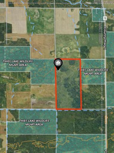 TBD 390th Ave, Gatzke, MN 56724