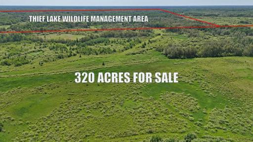 TBD 390th Ave, Gatzke, MN 56724