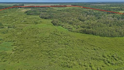 TBD 390th Ave, Gatzke, MN 56724