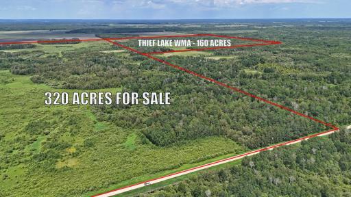 TBD 390th Ave, Gatzke, MN 56724