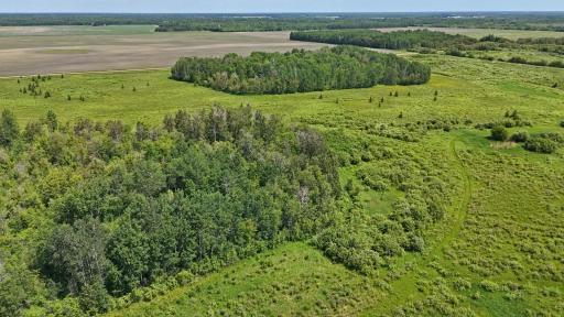 TBD 390th Ave, Gatzke, MN 56724