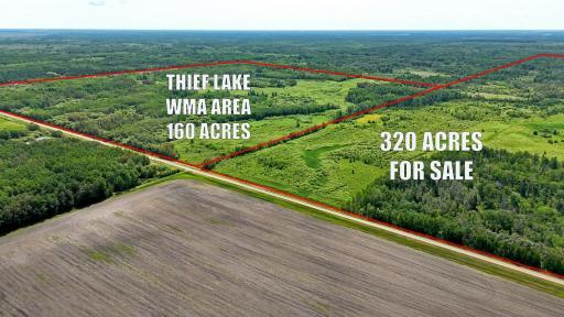 TBD 390th Ave, Gatzke, MN 56724