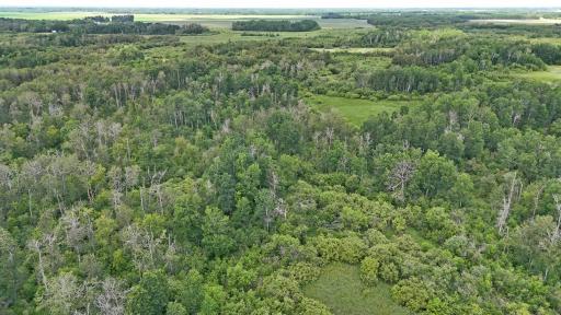 TBD 390th Ave, Gatzke, MN 56724