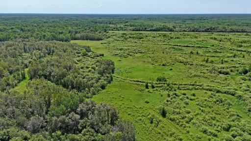 TBD 390th Ave, Gatzke, MN 56724