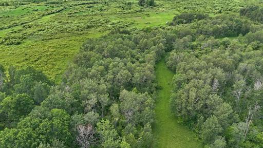 TBD 390th Ave, Gatzke, MN 56724