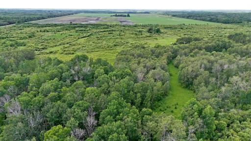 TBD 390th Ave, Gatzke, MN 56724