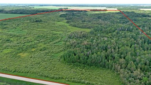 TBD 390th Ave, Gatzke, MN 56724