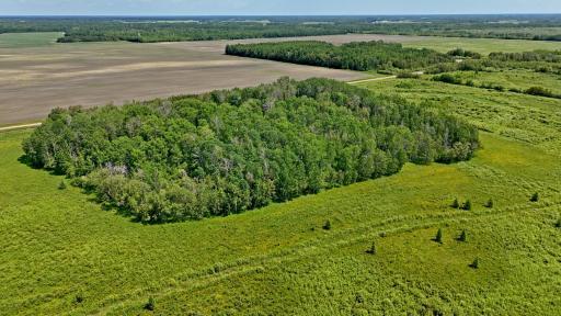 TBD 390th Ave, Gatzke, MN 56724